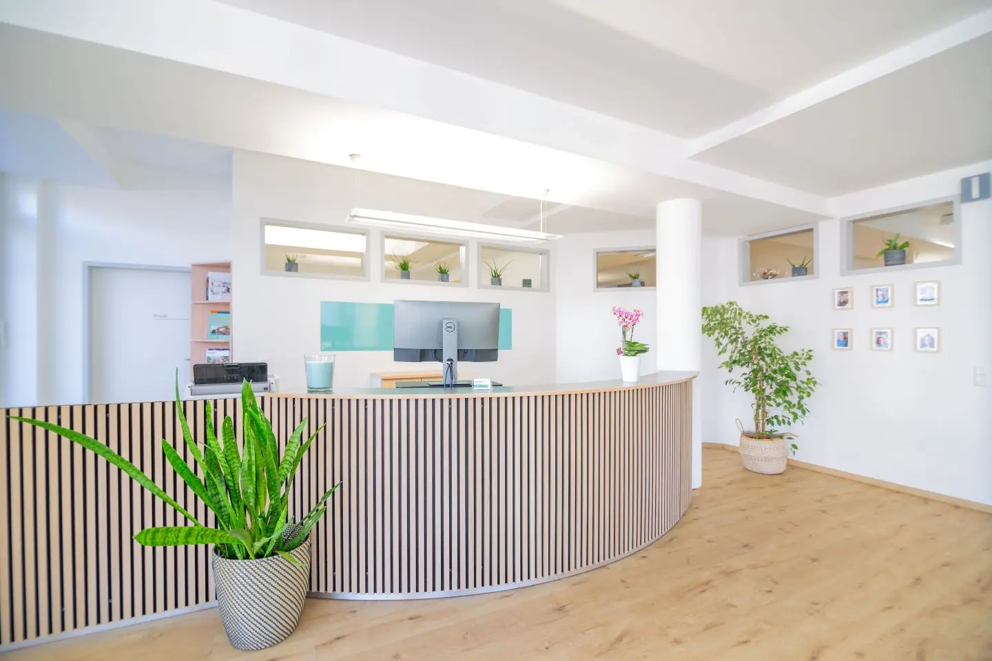 Bild der Rezeption
